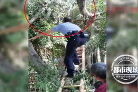 7旬老人上树修剪树枝，结果脖子被卡无法动弹，民警：快找铲车来图片