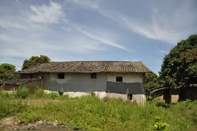 宅基地确权后无房户不能建房？两类人禁止建房，两类人建房有补贴图片