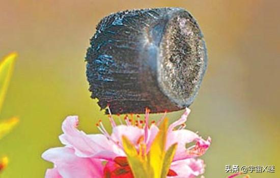 阿拉伯胶和明胶的区别 2026年阿拉伯胶和明胶的区别在哪