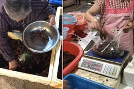 花108元点10斤小龙虾，到手却只有6斤，缺斤少两要不得！图片
