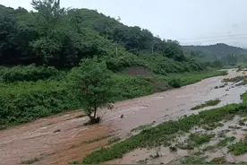 下雨天的思绪万千，唯有读书可以沉静下来图片