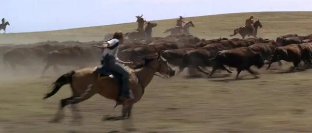 鸡皮疙瘩no.4在线观看