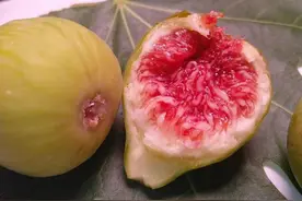 生机饮食的饮食习惯图片