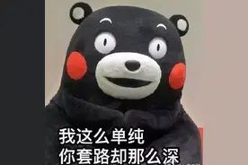 跨境网络电信诈骗集团在柳州有分支！警方一出手，抓了14个……图片