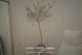 姑娘，请你记住，“真爱没有人流”图片