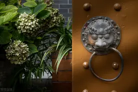 院子里种树的“黑名单”，看起来是迷信，实际上藏着老祖宗的智慧图片