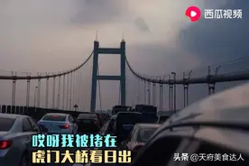 虎门大桥摇一摇，背后老板亏多少？西瓜视频楠哥为大家揭晓图片