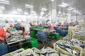 漂洋过海”远销海外！东山第一季度出口2000吨水产品罐头！图片