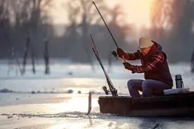 冰面下的鱼会觉得冷吗？冰箱里的鱼呢？图片
