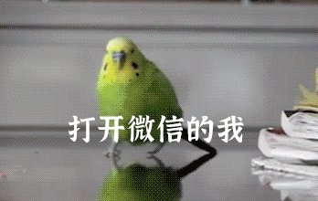 淦！新出的这些功能都怎么玩啊？