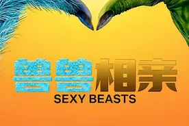 直言喜欢大胸大屁股，这样的“跨种族”相亲是认真的？图片