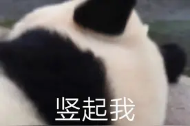 状况频出？Exness平台年后投诉不断！老牌平台口碑堪忧图片