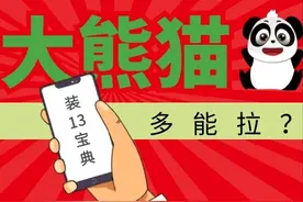 大熊猫问答宝典第5弹：大熊猫为什么产在中国？图片