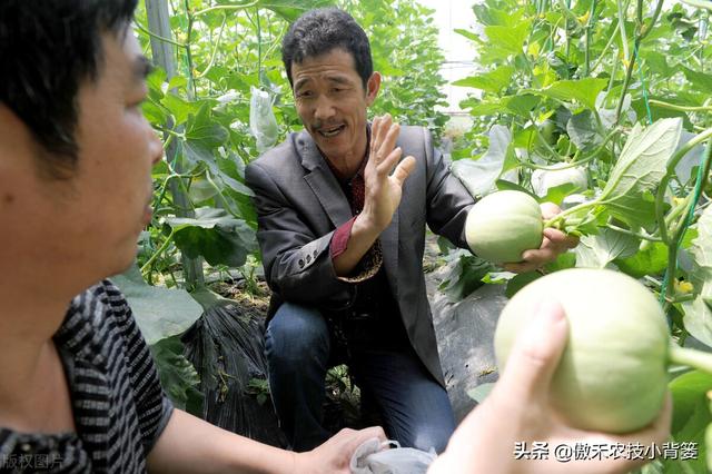 鑵愭閰搞€佹皑鍩洪吀銆佹捣钘婚吀銆侀奔铔嬬櫧锛岄兘鏄暐鑲ユ枡锛熼兘鏈夊暐浣滅敤锛? onerror=