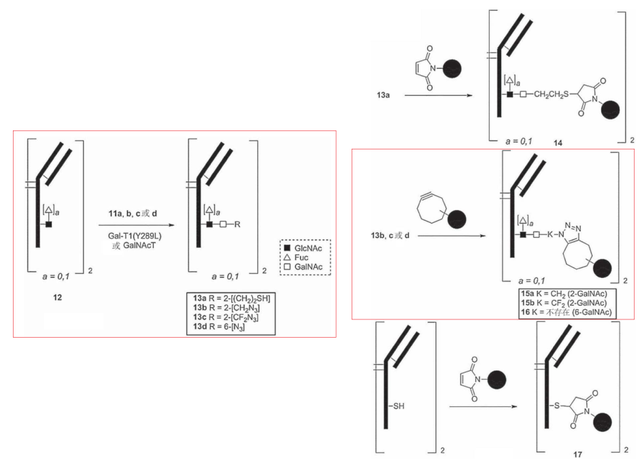 多项授权合作，Synaffix公司ADC专利技术解析