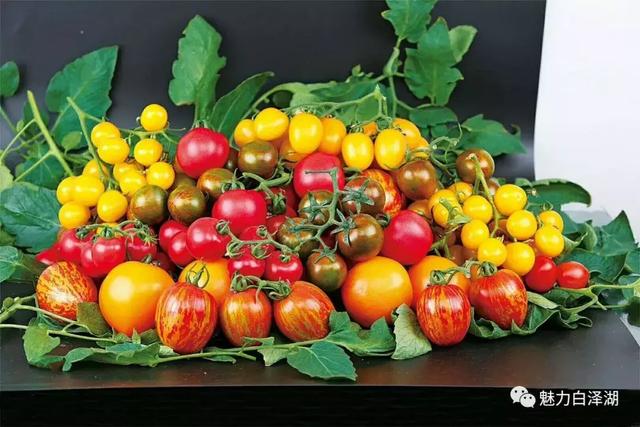 【文化节特辑】为期7天！6月1日-7日 2019·宜秀第三届龙舟文化节农耕体验精彩系列活动看过来！