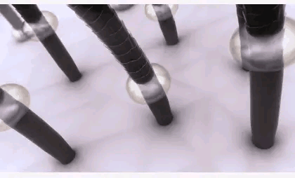 飘柔、海飞丝“无人问津”，国货第一洗发水出现，蓬松控油去分叉