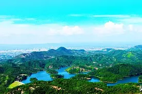 绿美泷江·生态罗定 | 罗定再添2个“国家森林乡村”图片