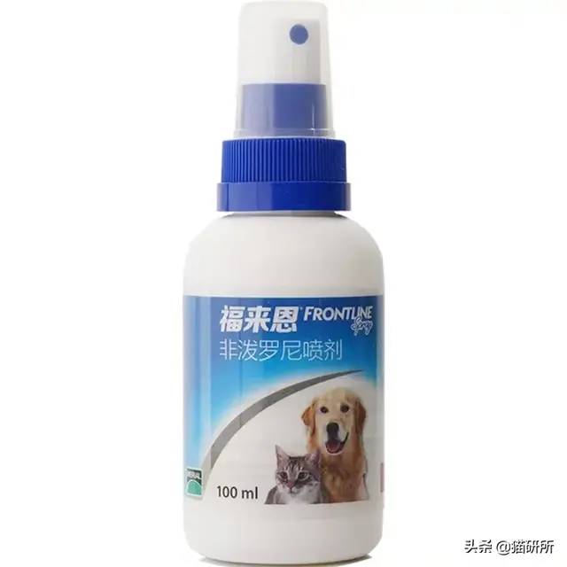 消灭99.99%的跳蚤，养宠家庭超实用灭蚤秘籍来了
