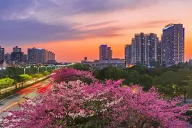 宇宙最牛！世界500强广东榜单出炉:深圳第一广州第二、北滘镇第三图片