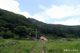 “无人区”里坚守的夫妻，故土与蜜蜂留住他俩的心图片