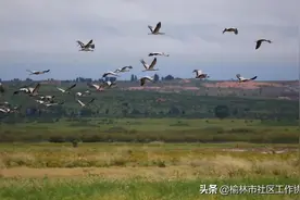 绿水青山美榆林图片