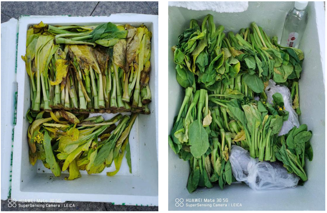 植物健康激活剂纳米硒在农产品提质增效中的应用