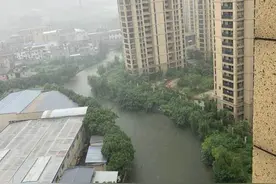 暴雨过境，杭州河道现“巨虾”，钱塘江也曾有人钓获图片