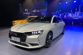 ​这一次，DS能一夜成名吗？图片