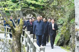 习近平总书记在陕西考察·特别报道 | 直与天地争春回图片