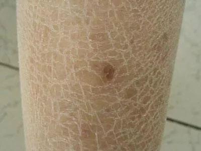 雅顿身体乳按压泵真假鉴别