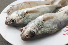 买鱼时，这3种鱼常用来冒充黄花鱼，一定要擦亮眼睛，别再买错了图片