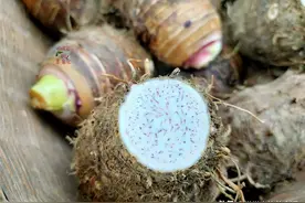 买香芋怎样避免买到“不粉的”生香芋？碰到这3种，再便宜也别买图片