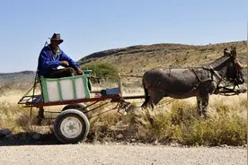 donkey是驴，work是工作，donkey work是啥图片