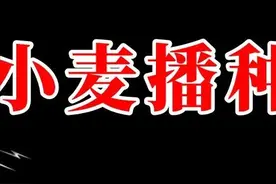 快看！今年雨水大，小麦什么时间播种最好？答案来了图片