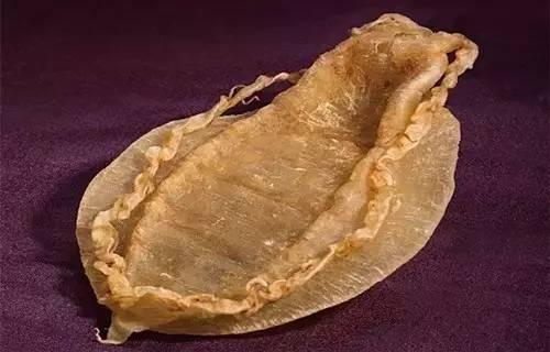 孕妇咳嗽能喝花胶 孕妇咳嗽可以吃花胶吗
