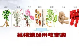 葛根汤加川芎辛夷治疗急慢性鼻炎及鼻窦炎（015）图片