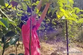 “百香果女童案”再审改判死刑，女童母亲：可以给女儿准备后事了图片
