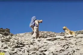 中国边防战士的大黄狗：竟是条四眼藏獒，对付5个人真不是问题图片