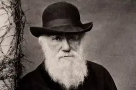 第一个人是怎么来的？为什么地球上没有演化出第二种人？图片