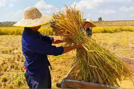农民进城买房后，还没入住就后悔了，根本原因是这4点图片
