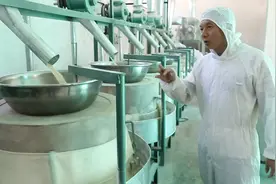农村小伙投资23万开办面粉加工厂，可磨出来的面粉，15天就坏了视频封面