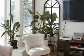 我和老公的日常图片