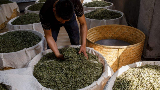 白茶的加工工艺是什么？