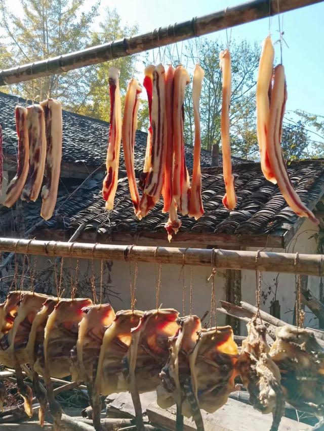 秋风吻尽银杏叶，艳遇醉美帽子峰