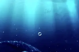 生当似鹏起，终当如鲸落图片