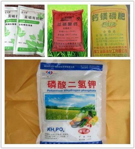 我的世界天启之境鱼鳞剑蓄力