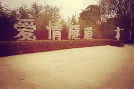 春天在哪里图片