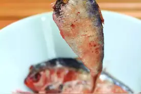寻味 | 雷州人爱青鳞魪鱼爱到疯图片