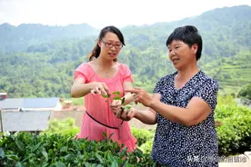 我离开乡下，到南京给儿媳带孩子，忍气吞声十五年图片
